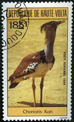 Alto Volta - 1984 - Aves - 185F