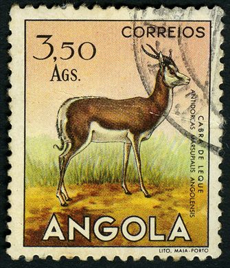 Angola (Colonia Portuguesa) - 1953 - Fauna - Cabra de Leque Antidorcas marsuipialis angolensis - 3.50Ags