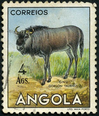 Angola (Colonia Portuguesa) - 1953 - Fauna - Gnu Gorgon taurinus - 4Ags