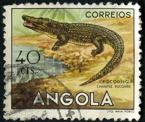 Angola (Colonia Portuguesa) - 1953 - Fauna - Crocodilo Champse vulgaris - 40C
