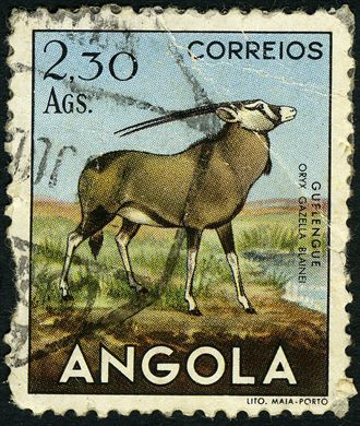 Angola (Colonia Portuguesa) - 1953 - Fauna - Guelenque Oryx gazella blainei - 2.30Ags