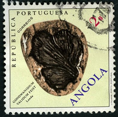 Angola (Colonia Portuguesa) - 1970 - Minerais e Fosseis - 4Esc50