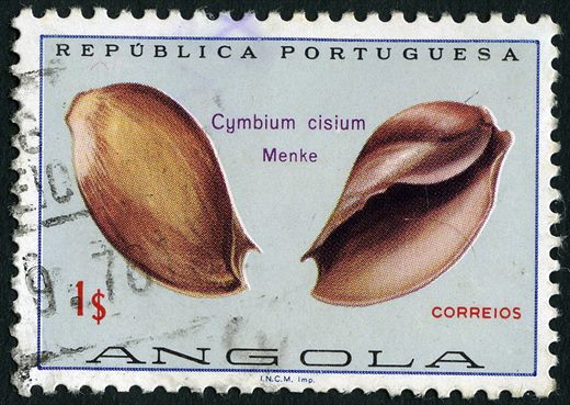 Angola (Colonia Portuguesa) - 1974 - Conchas Marinhas - Cymbium cisium - 1Esc