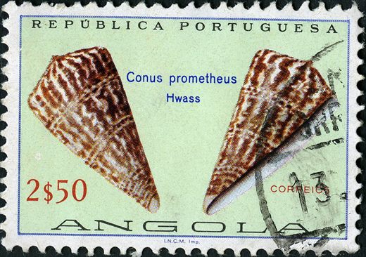 Angola (Colonia Portuguesa) - 1974 - Conchas Marinhas - Conus prometheus - 2Esc50