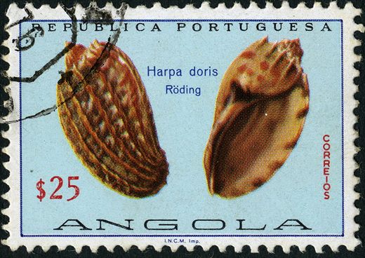 Angola (Colonia Portuguesa) - 1974 - Conchas Marinhas - Harpa doris - 25Esc
