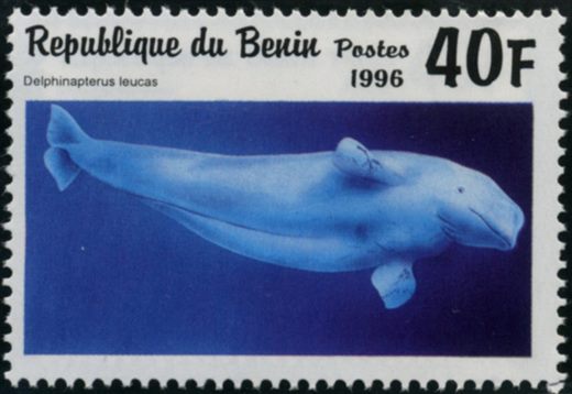 Benim - 1996 - Cetaceos - 40F