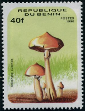 Benim - 1996 - Cogumelos - 40F