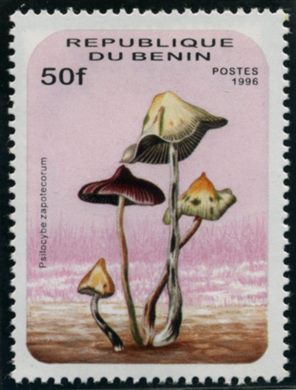 Benim - 1996 - Cogumelos - 50F