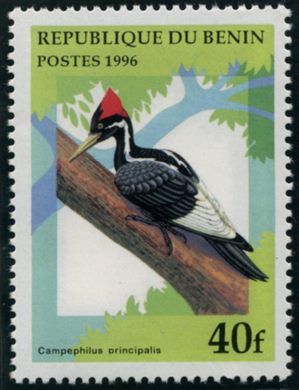 Benim - 1996 - Passaros - 40F