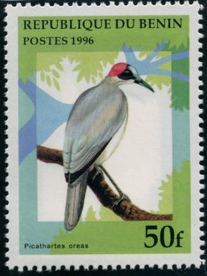 Benim - 1996 - Passaros - 50F