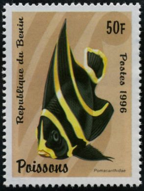 Benim - 1996 - Peixes - 50F