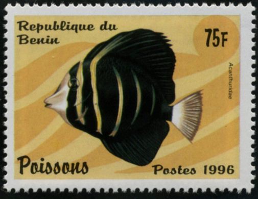 Benim - 1996 - Peixes - 75F