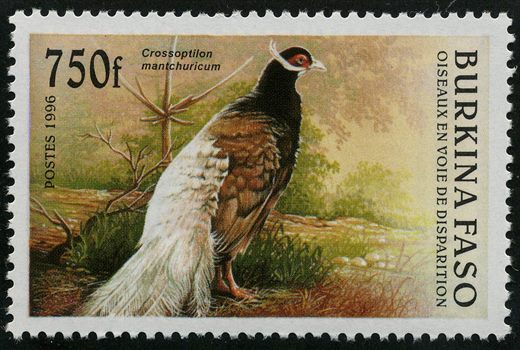 Burquina Faso - 1996 - Aves em Perigo de Extincao - 750F