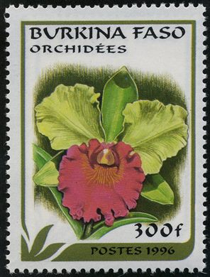 Burquina Faso - 1996 - Orquideas - 300F