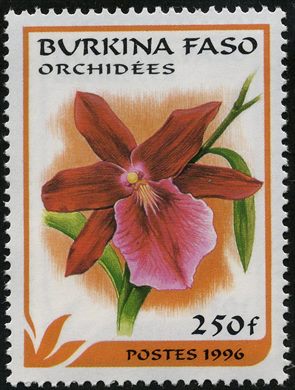 Burquina Faso - 1996 - Orquideas - 250F