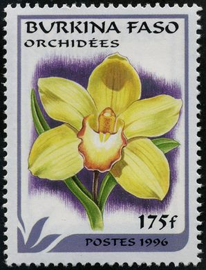 Burquina Faso - 1996 - Orquideas - 175F
