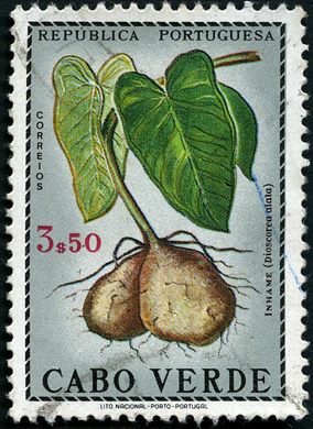 Cabo Verde (Colonia Portuguesa) - 1952 - Flora - 3Esc50