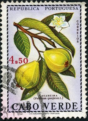 Cabo Verde (Colonia Portuguesa) - 1952 - Flora - 4Esc50