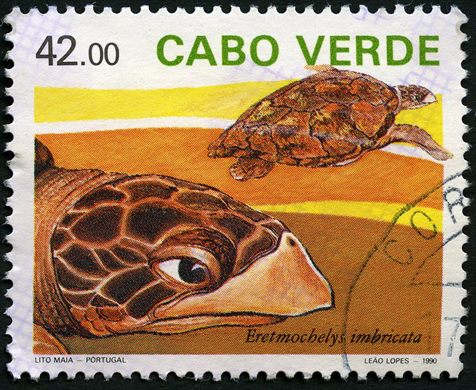 Cabo Verde - 1990 - Tartarugas Marinhas Eretmochelys imbricata - 42Esc