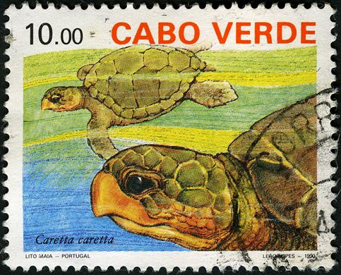 Cabo Verde - 1990 - Tartarugas Marinhas Caretta caretta - 10Esc