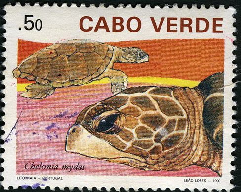 Cabo Verde - 1990 - Tartarugas Marinhas Chelonia mydas - 0.5Esc