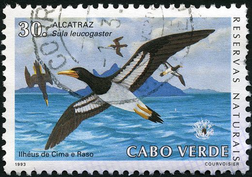 Cabo Verde - 1993 - Reservas Naturais - 30ECV