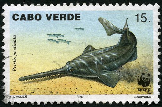 Cabo Verde - 1997 - WWF Pristis pectinata - 15Esc