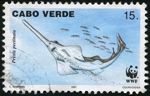 Cabo Verde - 1997 - WWF Pristis pectinata - 15Esc