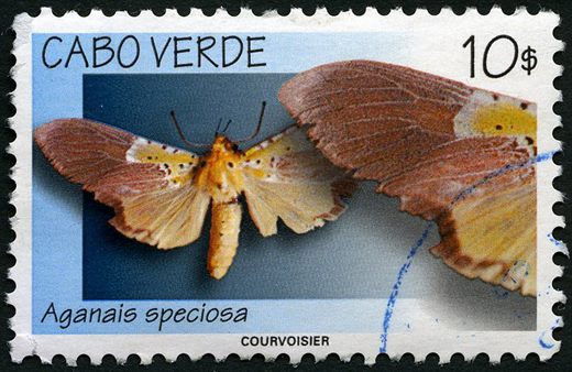 Cabo Verde - 1999 - Mariposas Aganais speciosa - 10Esc