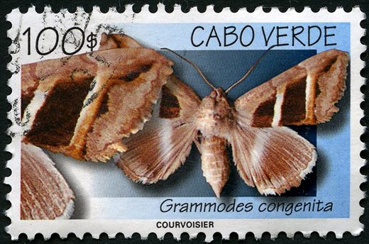 Cabo Verde - 1999 - Mariposas Grammodes congenita - 100Esc