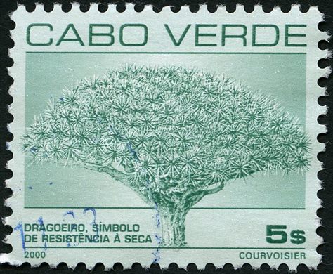 Cabo Verde - 2000 - Dragoeiro Simbolo de Resistencia a Seca - 5Esc