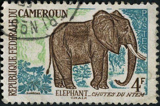 Camaroes (Republica Federal) - 1962 - Fauna Elefante Chutes du Ntem - 4F