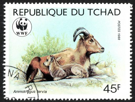 Chade - 1988 - WWF Ammotragus Lervia - 45F