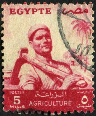 Egito (Independente) - 1954 - Agricultor - 5Mills