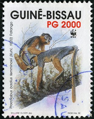 Guine-Bissau - 1992 - WWF Macaco Vermelho - 2000PG