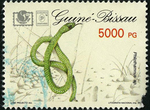 Guine-Bissau - 1994 - Cobras - 5000PG