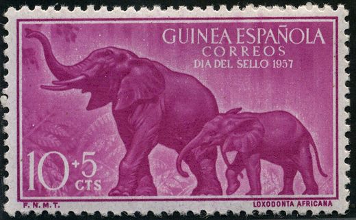 Guine Espanhola (Colonia) - 1957 - Dia do Selo Elefante Loxodonta africana - 10Cts mais 5Cts