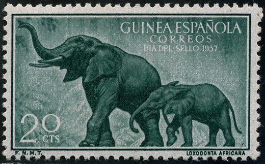 Guine Espanhola (Colonia) - 1957 - Dia do Selo Elefante Loxodonta africana - 20Cts