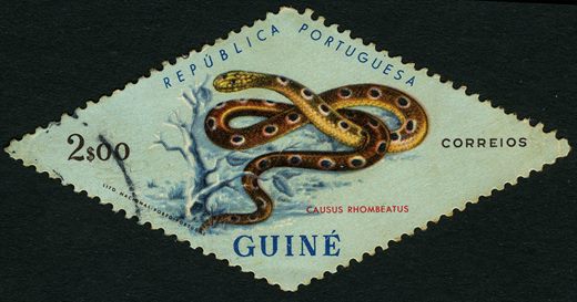 Guine Portuguesa (Colonia) - 1963 - Serpentes Causus rhombeatus - 2Esc