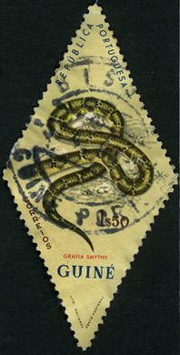 Guine Portuguesa (Colonia) - 1963 - Serpentes Grayia smythii - 1Esc50