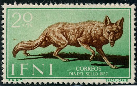Ifni (Territorio Espanhol) - 1957 - Dia del Sello Chacal - 20Cts