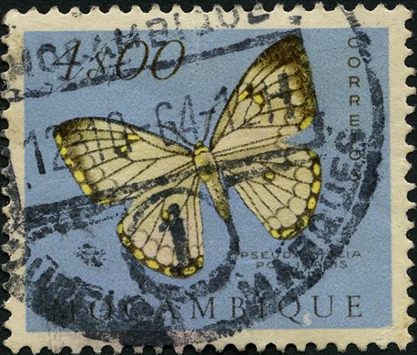 Mocambique (Colonia Portuguesa) - 1953 - Borboletas - 4Esc