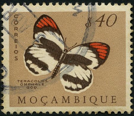 Mocambique (Colonia Portuguesa) - 1953 - Borboletas - 40C