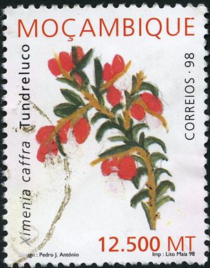 Mocambique (Independente) - 1998 - Flora Ximenia caffra - 12500MT