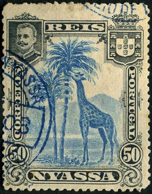 Niassa (Colonia Portuguesa) - 1901 - Girafas D Carlos I - 50R