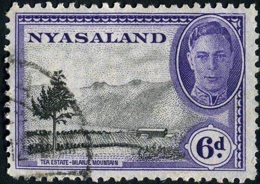 Niassalandia (Colonia Britanica) - 1945 - Jorge VI Plantacao Cha Mlanje - 6D
