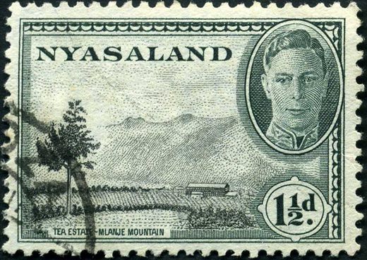 Niassalandia (Colonia Britanica) - 1945 - Jorge VI Plantacao Cha Mlanje - 1.5D