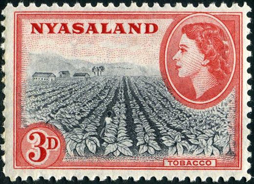 Niassalandia (Colonia Britanica) - 1953 - Isabel II Tabaco - 3D