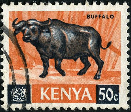 Quenia (Independente) - 1966 - Fauna - 50C