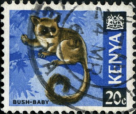 Quenia (Independente) - 1966 - Fauna - 20C